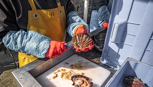 blog cabellou plage gastronomie bretonne