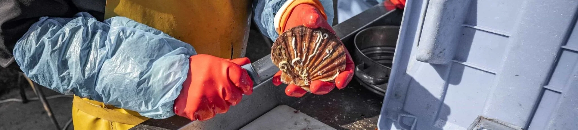 blog cabellou plage gastronomie bretonne