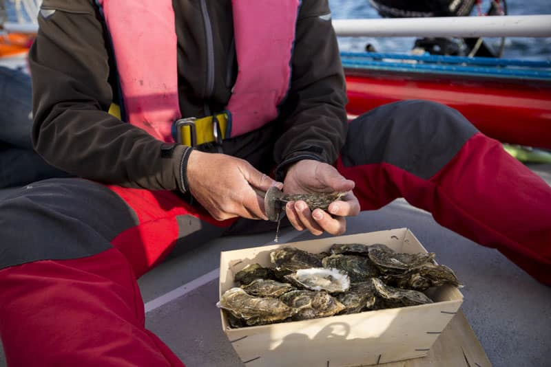 gastronomie bretonne