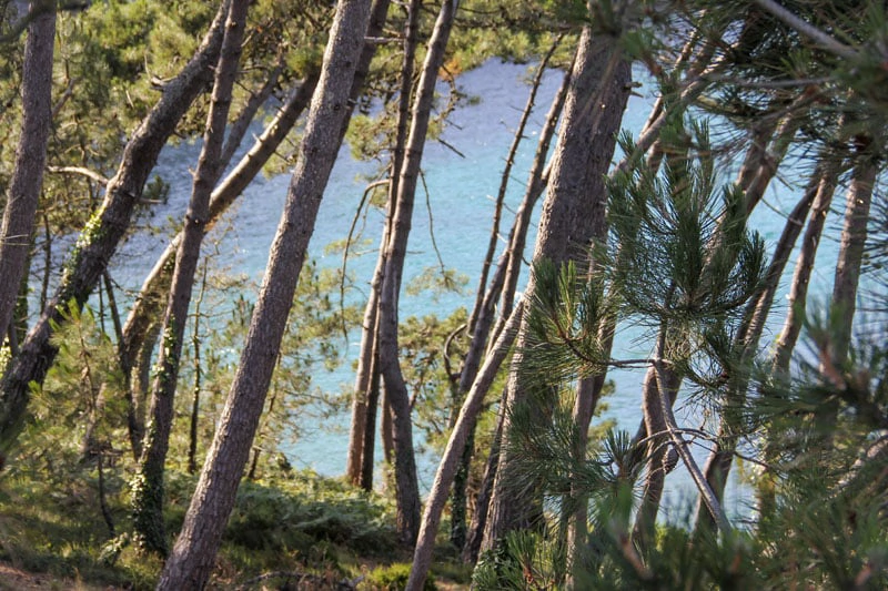 camping finistere paysages sauvages bretagne