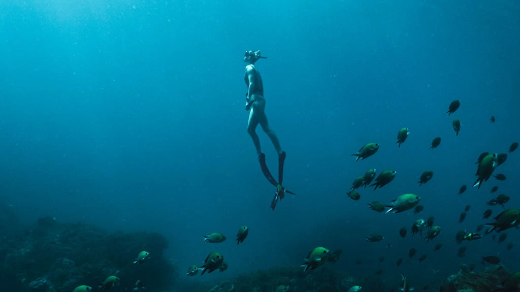 plongee a concarneau