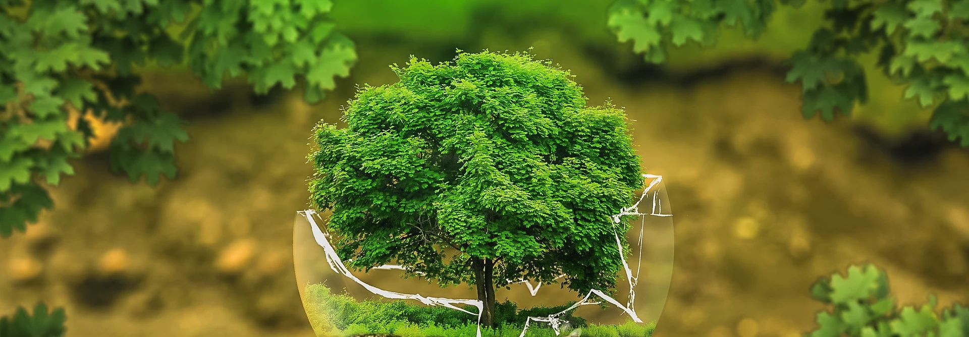 camping ecologique bretagne camping resort 5 etoiles le cabellou plage concarneau