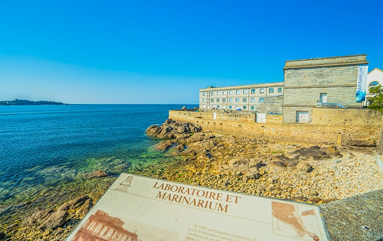 concarneau le marinarium