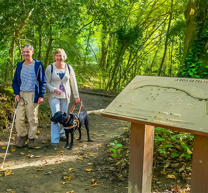 decouvrez la foret fouesnant pendant votre sejour en camping