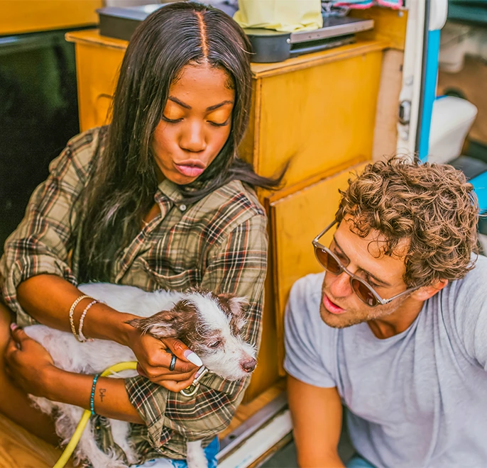 camping finistere sud avec son chien