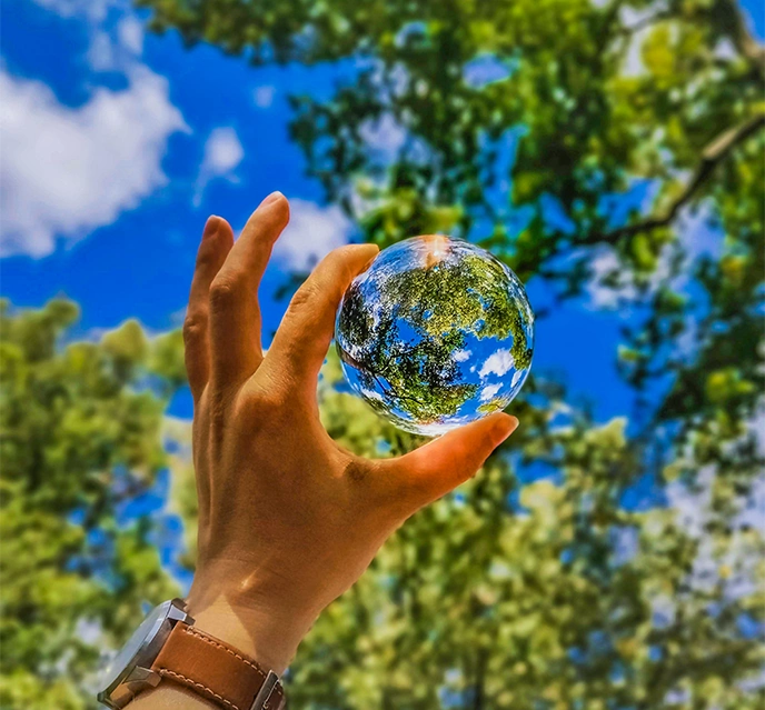 respect de l environnement